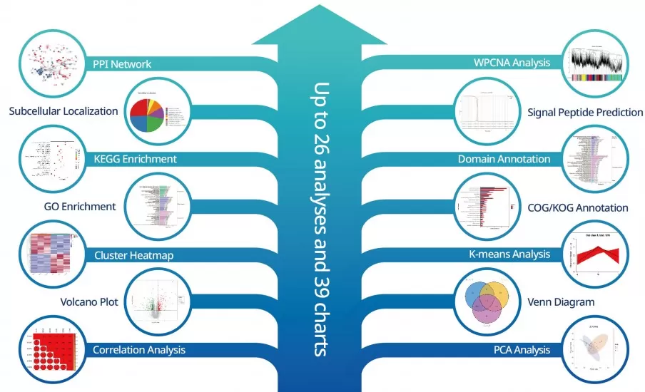 comprehensive analytical report for proteomics services